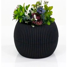 Mercan Saksı 2 Numara 0,35 Litre Su Hazneli Dekoratif Kaktüs Sukulent Saksı 11,8x9,2 cm