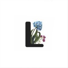 DS LLC Harf Figürlü Kaktüs Sukulent Saksısı DLLSRSBJ34