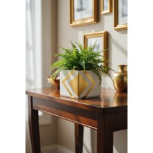 Mhd Özel Tasarım Orta Boy Kare Saksı Ağaç Saksısı