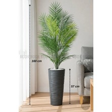 Biçiçek 160 CM AREKA AĞACI 24 YAPRAKLI ANTRESİT KUMSAL SAKSIDA