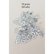 Oya Abiye Bileklik Kolye Pleksi Metalik Plastik Pul Gümüş Renk 24 Gram 210 Adet - BNC573