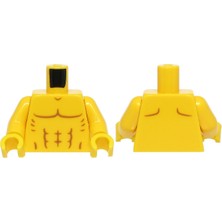 LEGO Minifigür Parçaları: Torso, Vucut, Gövde: 973PB5732C01