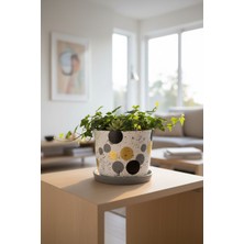 Mhd Büyük Boy Özel Tasarım Beton Saksı Tabak 20 cm ( 5 Lt. )