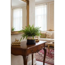 Mhd Büyük Boy Özel Tasarım Beton Saksı Tabak 20 cm ( 5 Lt. )