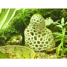 Liya3D Akvaryum Karides Saklanma Alanı – 3D Baskı Dekor Mağara / Gizlenme Yuvası (Beyaz)