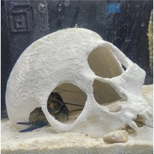 Liya3D Petg Akvaryum Kurukafa Dekoru – Akvaryum Içi Dekoratif Kuru Kafa