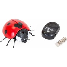 Mey Ithalat® Oyuncak Işıklı Uğurböceği