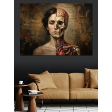 Artmeg Insan Anatomisi Yarım Kafatası Portre Dekoratif Kanvas - Mdf Ahşap Tablo