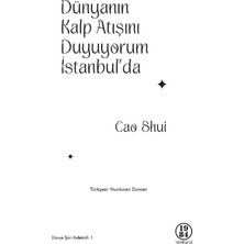 Dünyanın Kalp Atışını Duyuyorum Istanbul'da - Cao Shui