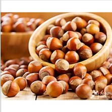 Enfez Giresun Kalite Kabuklu Fındık 1 kg Bahçemizden Sofranıza 2025 Yılı Üretimidir