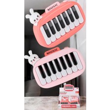 Mey Ithalat® 8896-1B Kutuda 12Lİ Pilli Piano -Cn