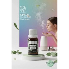 Mey Ithalat® %100 Saf ve Yoğun Okaliptus Çiçeği Esansı -Ütü, Buhardanlık ve Koku Makineleri Için 10 ml