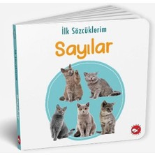 Ilk Sözcüklerim - Sayılar