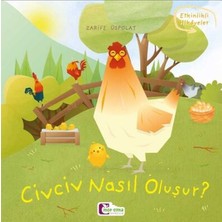 Oluşum Hikayeleri - Civciv Nasıl Oluşur?