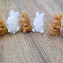 Sabrina Organizasyon 25 adet Asetat Kutu Kokulu Mum Tavşan Figürü