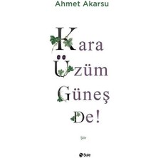 Kara Üzüm Güneş De