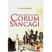 Osmanlı Teşkilat Yapısı Içerisinde Çorum Sancağı