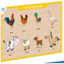 Ahşap Çiftlik Hayvanları Eğitici Set