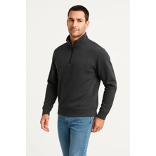 Lushiowear Erkek Dik Yaka Sweatshirt Dik Yaka Yarım Fermuarlı 3 Iplik Şardonlu Pamuk Kumaş - Antrasit
