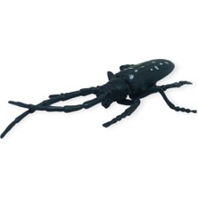 Böcek Figürleri - Gerçekçi Figür - Turunçgil Uzun Boynuzlu Böceği 18 cm (Lisinya)
