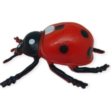 Böcek Figürleri - Gerçekçi Figür - Uğur Böceği 9 cm (Lisinya)