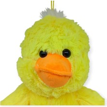 PL62247 - Peluş Hayvan Figürleri 40 cm 4 Ast (Lisinya)