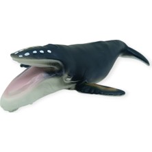 Deniz Hayvanları Serisi - Kambur Balina 30 cm (Lisinya)