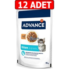 Advance Tavuklu Yavru Kedi Yaş Mama 85GR 12ADET Advance Kitten Chicken Tavuk