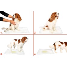 Colezium Yıkanabilir Köpek Çiş Pedi - 100 x 100 cm 5li Paket