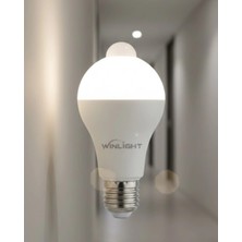 Beruflic Sensörlü Lamba