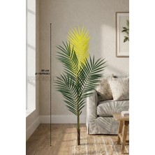 Biçiçek Yedek Areka Dalı 90CM 4 Yaprak ve 1kg Dekoratif Taş