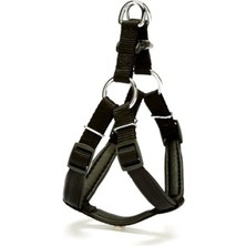 SHC4200 Göğüs Tasması 35CM x Small