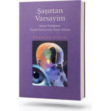 Es Dekor Şaşırtan Varsayım Insan Varlığının Temel Sorularına Yanıt Arayışı