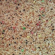 Polo Özel Karışım Meyvesiz Muhabbet Kuşu Yemi Çuval 20 kg