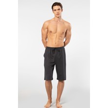 Cacharel Modal Bermuda Tek Alt 2172/ANTRASIT