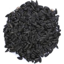 Gezer Akvaryum Papağan Çekirdek Küçük 500 gr