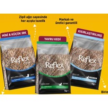 Reflex Plus  Yenilenmiş Paket Tavuklu Yavru Kedi Maması 1 Kg.