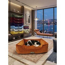 Patitex Ptx Kadife Klasik Kedi Köpekyatağı