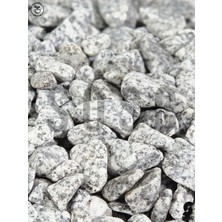 Sosc Natural Granit Dekoratif Çakıl Taşı, Gri Beyaz, 1-2 Cm, 1 Kg, Bahçe Peyzaj Saksı Akvaryum Teraryum Için Dolomit Taş