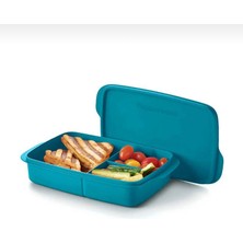 Tupperware Bölmeli Beslenme Kutusu 1lt