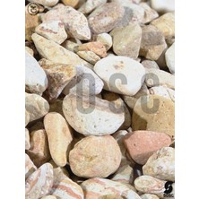 Sosc Natural Rainbow Dolomit Çakıl Taşı, Sarı Çizgili, 1-3 Cm, 3 Kg, Dekoratif Bahçe Peyzaj Saksı Akvaryum Teraryum Taşı