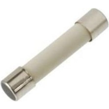 Labshop41 Seramik Sigorta 10.0A 250V (5X20MM) Hızlı x 1 Adet (RF074)