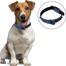 Nemere Yumuşak Dokulu Deri Köpek Gezdirme Boyun Tasması (Large) (4887)
