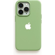 Demina iPhone 13 Pro Uyumlu Beyaz Logo Baskılı Içi Kadife Lansman Kılıf
