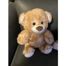 Pelüş Burada Oyuncak Ayı Peluş Oyuncak