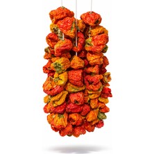 Natvera Antep Dolmalık Acı Biber Kurusu 50 Adet – Doğal Kurutulmuş Acı Dolmalık Biber