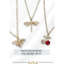 Yusufçuk Arı ve Kiraz Figürlü Çelik Zincir  Kadın Kolye  Seti