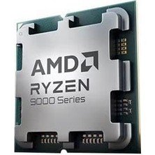 Amd Ryzen 9 9950X Tepsi