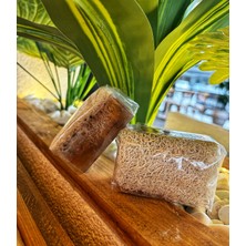 Sidir Yapraklı Kabak Lifli Sabun