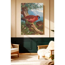 Mushen Studio Altın Fasulye Sülün (Golden Pheasant) Vintage Kanvas Tablo Büyük Boy Yağlıboya Tarzı Kuş Resmi